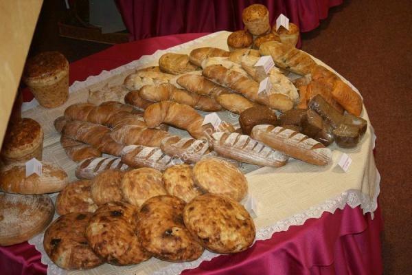 gastropan-201050